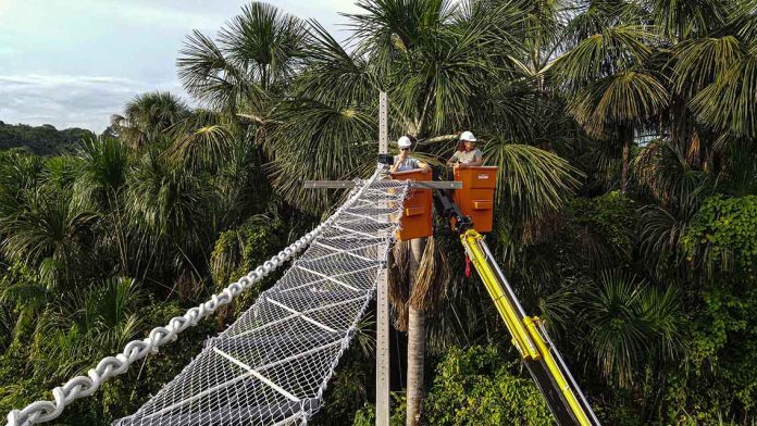 Alta Floresta Não Atropela: programa urbano de mitigação de atropelamentos registra avanços e amplia parcerias no Mato Grosso