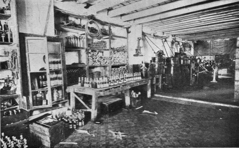 Guaraná Andrade em Manaus: a primeira fábrica de refrigerante de guaraná do Brasil