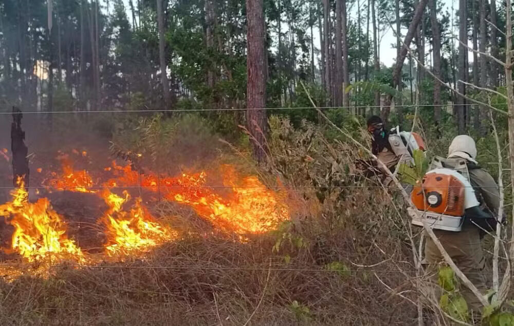 Número de focos de queimadas no Amapá em 2025 é o menor dos últimos três anos, diz CBM