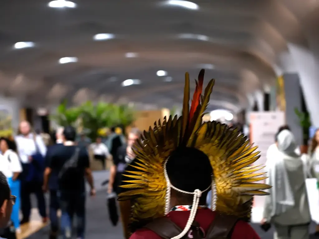 Manifesto COP30 fake news