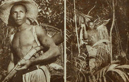 Portal Amazônia responde: quem são os mateiros?