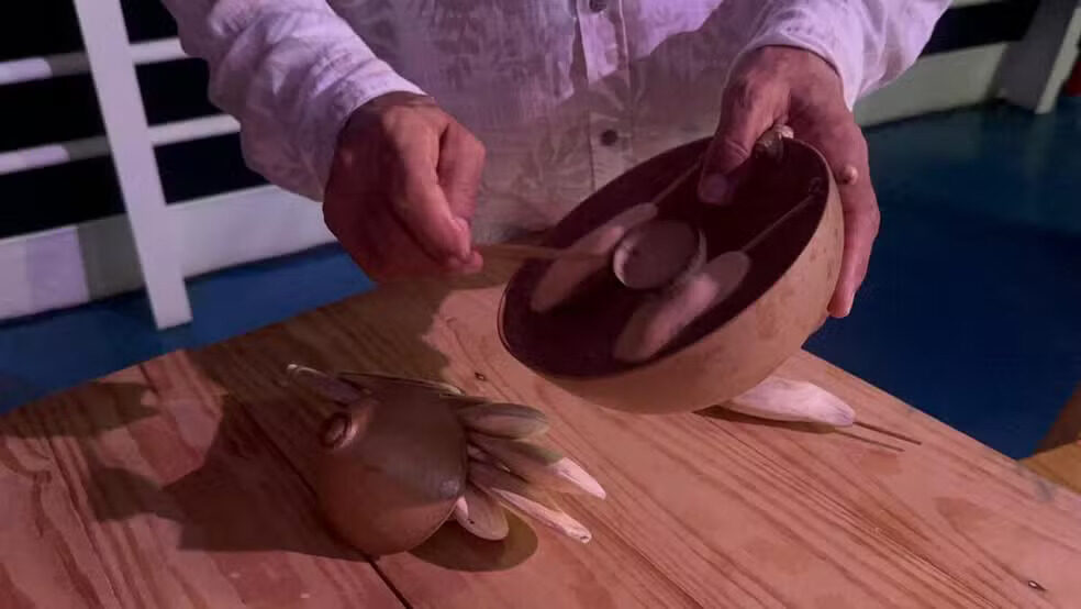 Amazônia: bioinstrumentos