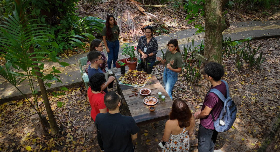 experiências para fazer em Belém durante a COP30