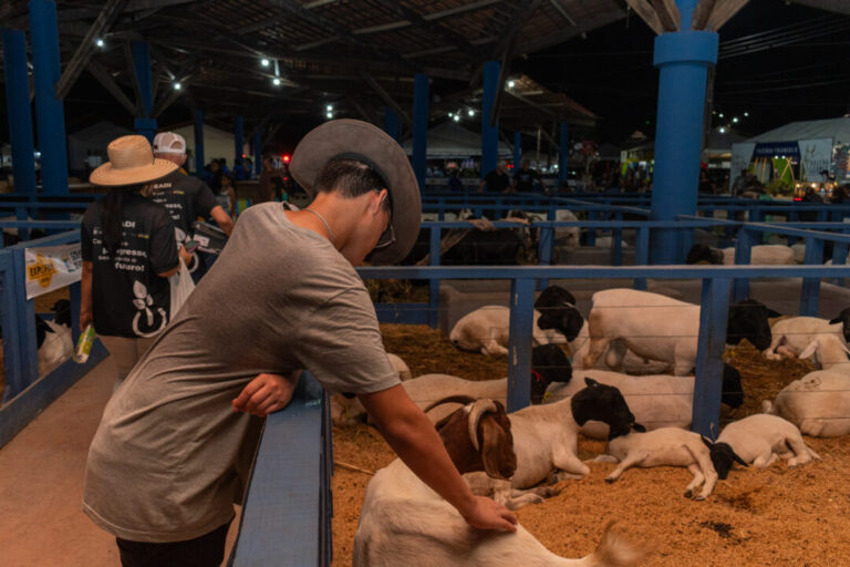 #Galeria Expoferr Show 2025: confira destaques do quarto dia da feira em Roraima