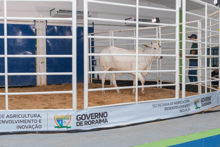 5 curiosidades sobre os leilões da Expoferr Show 2025