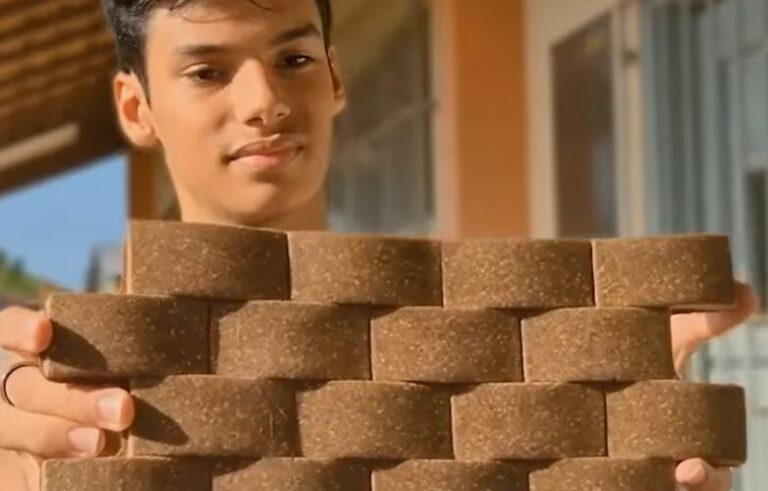 Estudantes paraenses criam painéis ecológicos e levam projeto à final de prêmio nacional