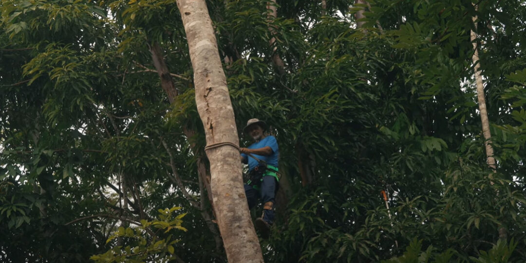 Foto: Reprodução/Mateiros do Brasil/Museu da Pessoa