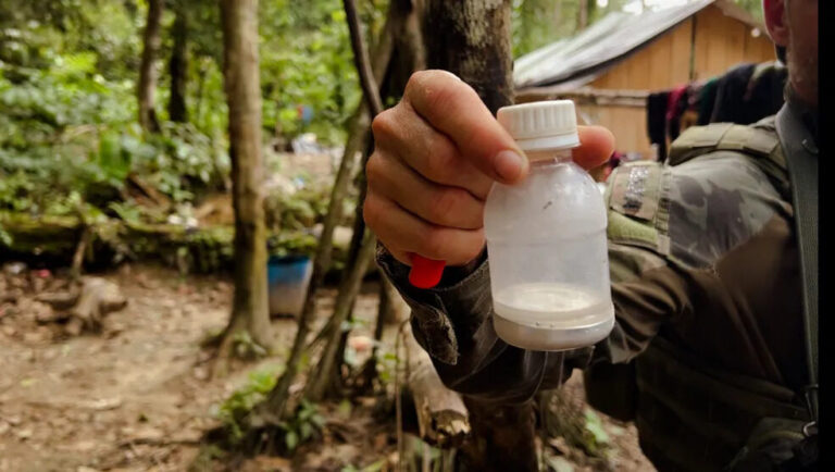 Mercúrio usado em garimpos ilegais na Amazônia entra por fronteiras com a Guiana e Bolívia