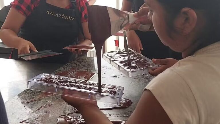 Projeto em Rondônia ensina indígenas Paiter Suruí a transformar cacau nativo em chocolate