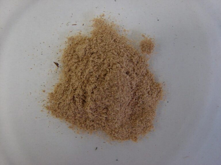 Marapuama: o potencial medicinal e econômico de uma planta amazônica