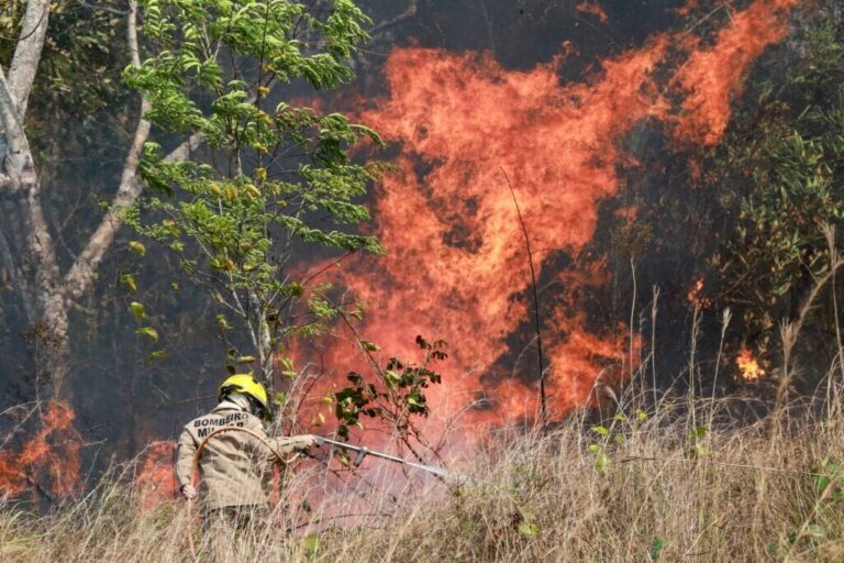Queimadas podem reduzir expectativa de vida em até 2 anos no Acre, aponta pesquisa