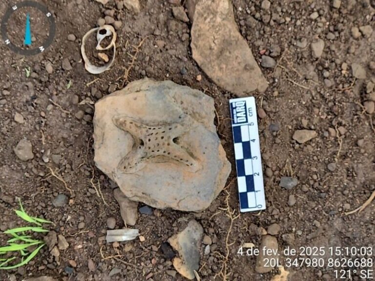 Projeto reforça a resistência ancestral em Rondônia