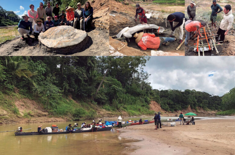 Expedições científicas buscam lugares pouco explorados da região amazônica