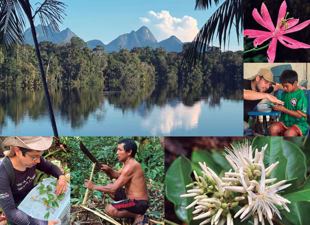 Expedições científicas buscam lugares pouco explorados da região amazônica