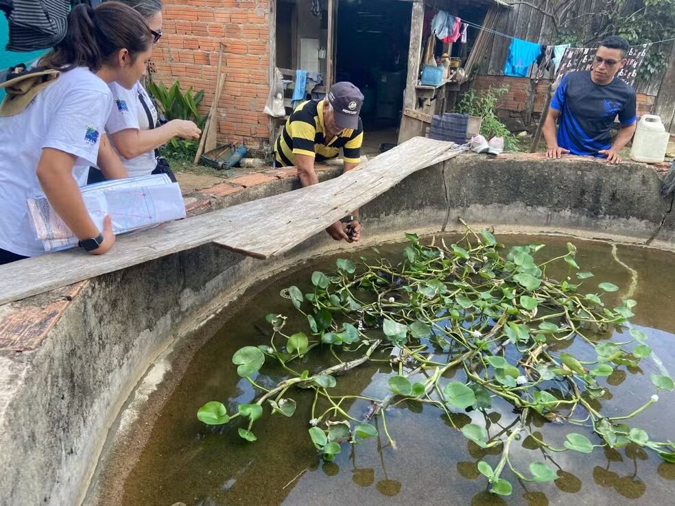 Trabalho comunitário garante preservação de tartarugas e tracajás no Amapá. Foto: Divulgação/Iepa