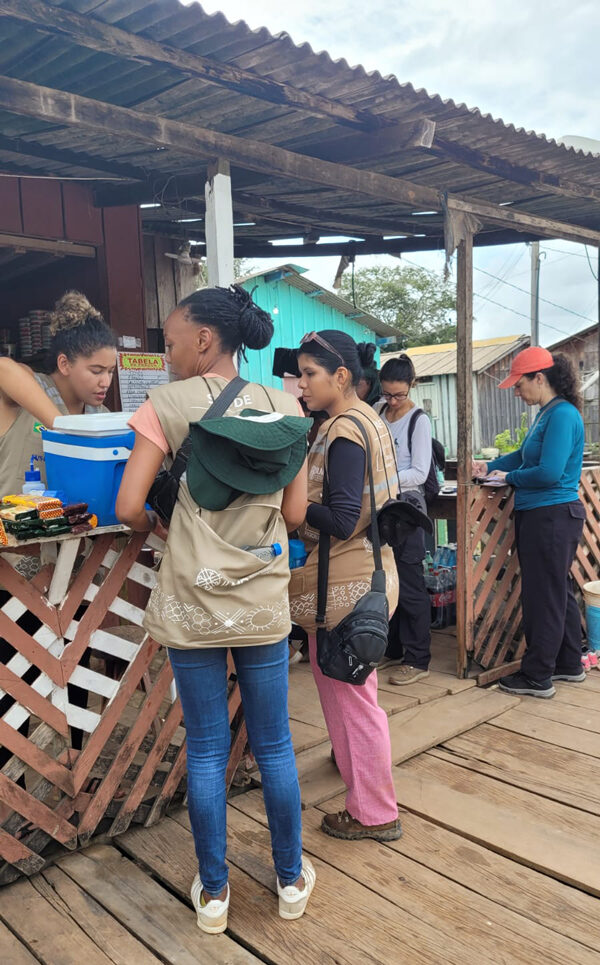 Resultados preliminares projeto rede pampa na amazônia