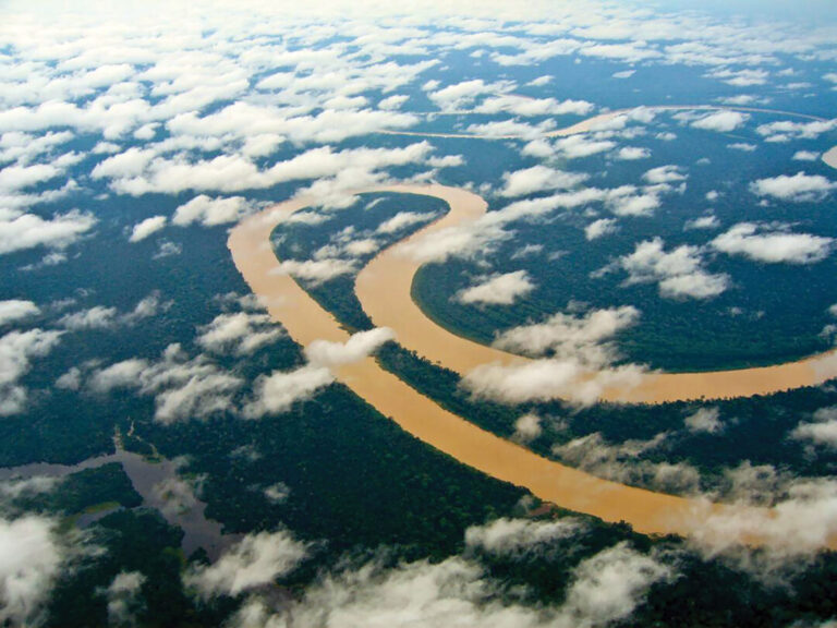 Limite máximo de temperatura do Acordo de Paris é atingido na Amazônia e superado no Pantanal 