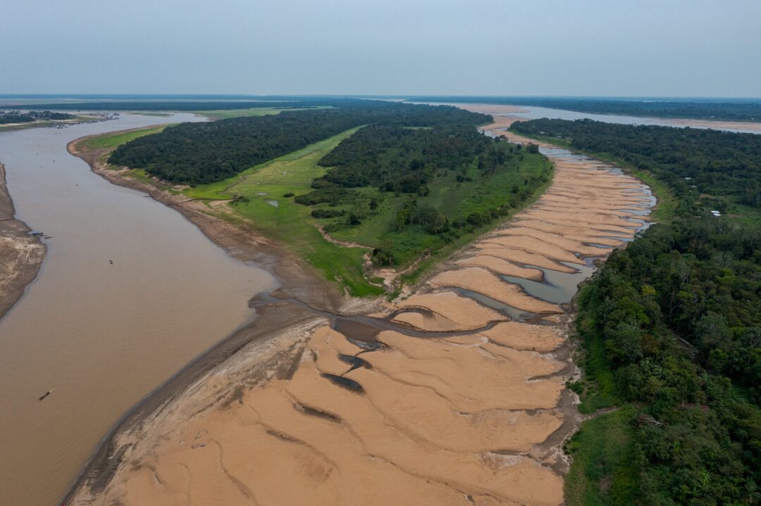 Seca extrema e temperaturas recordes de até 41°C levaram ao superaquecimento dos lagos amazônicos