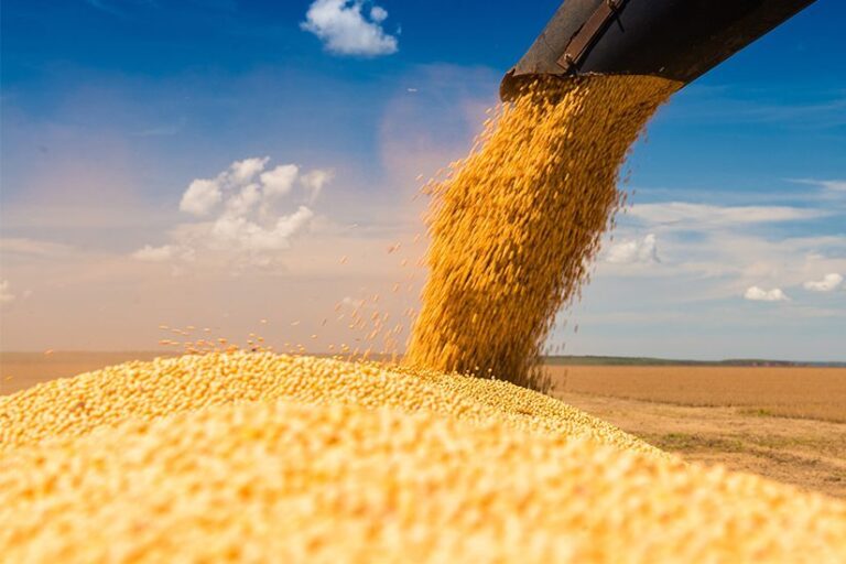 Brasil foi o principal fornecedor de cinco commodities agrícolas para China em 2025; confira a lista