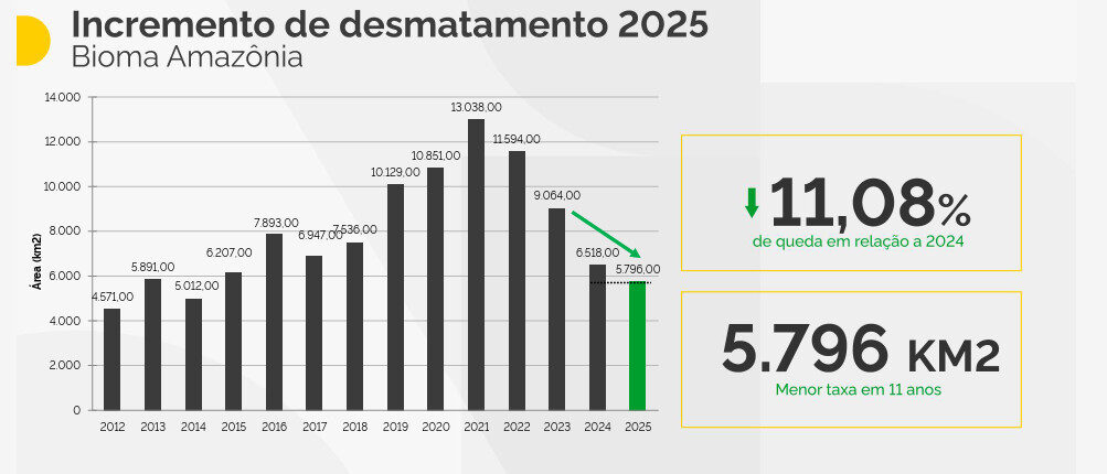 Em 2025, desmatamento tem redução de 11,08% na Amazônia