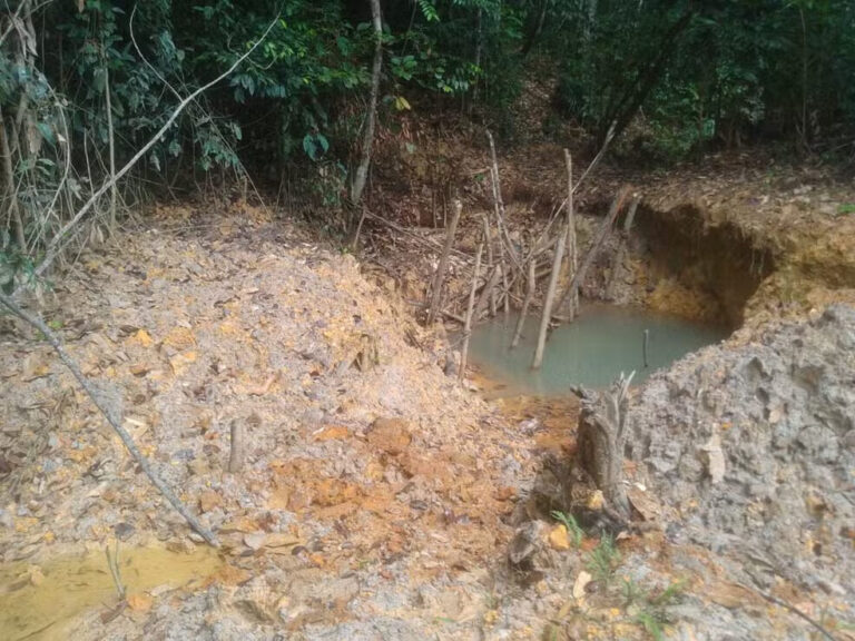 Imagens inéditas mostram áreas destruídas pelo garimpo ilegal na Terra Yanomami quase 3 anos após emergência