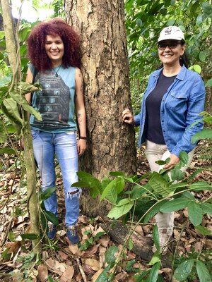 Mudanças climáticas ameaçam espécies amazônicas de alto valor econômico e cultural