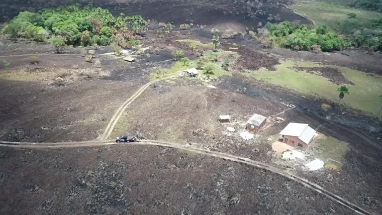 Amapá tem o menor índice de desmatamento entre estados da Amazônia Legal, diz INPE