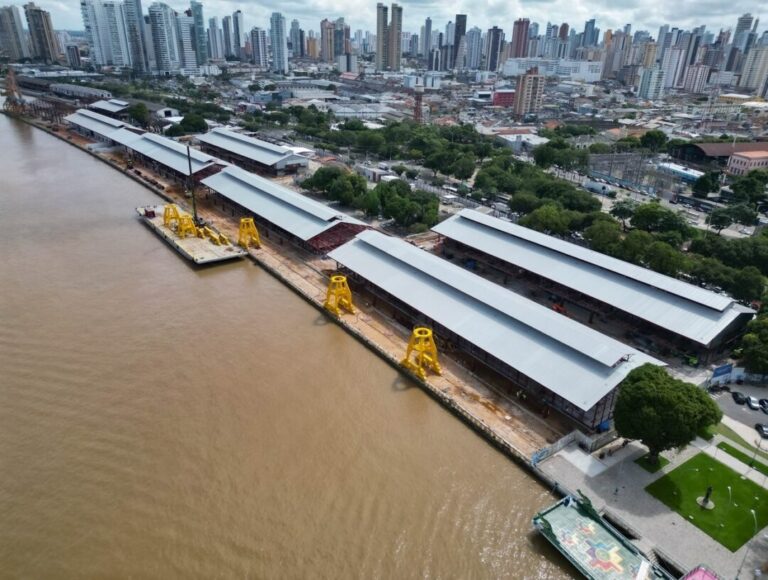 Tecnologia e floresta: a infraestrutura digital como vetor da bioeconomia amazônica
