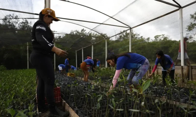 Governo anuncia que fechou parceria para expandir energia renovável na Amazônia