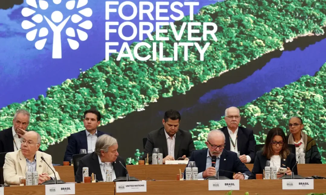 lançamento Fundo Florestas Tropicais para Sempre