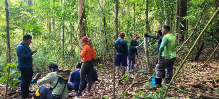 Implantação do Parque Estadual das Árvores Gigantes da Amazônia entra em nova fase