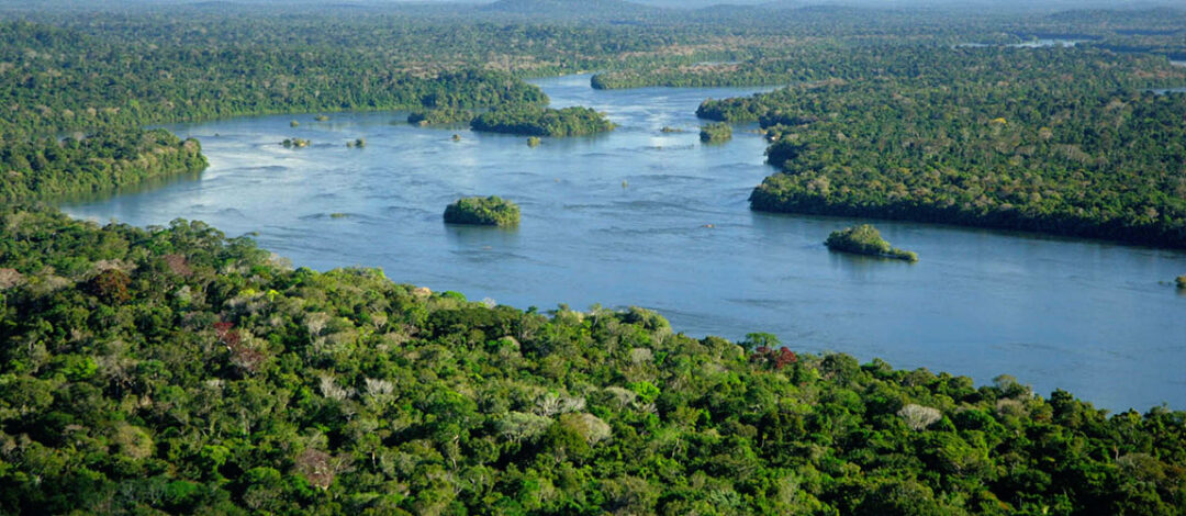 manejo florestal sustentável