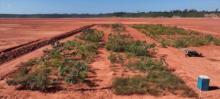 Mesmo com potencial mineração, subsolo do Amazonas enfrenta gargalos ambientais, geológicos e jurídicos