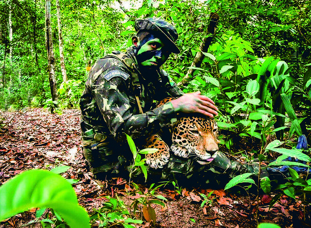 Onças-pintadas participaram de treinamento militar do CIGS? Saiba a verdade