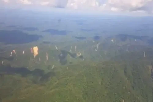 Nova espécie de rã é descoberta no Parque Nacional Cordillera Azul no Peru