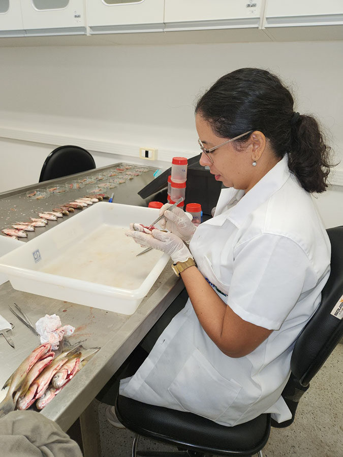 Integração de espécies eleva produtividade e reforça sustentabilidade na piscicultura amazônica