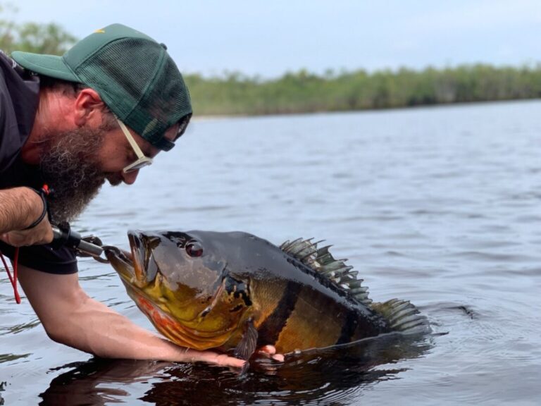 Terras dos peixes: conheça festejos em homenagem aos peixes na Amazônia