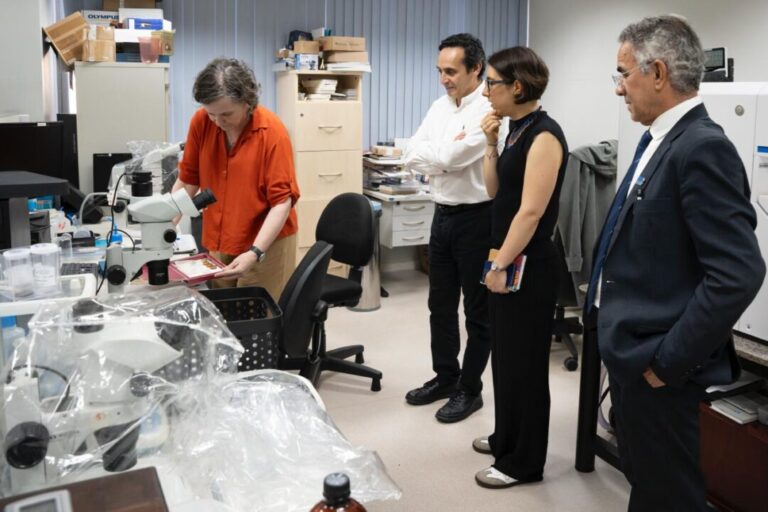 Brasil e Colômbia assinam acordo para desenvolver projetos que ampliam conhecimento geológico