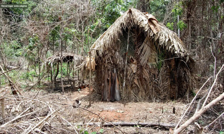 Povos indígenas isolados não têm direito a consulta prévia, afirma União