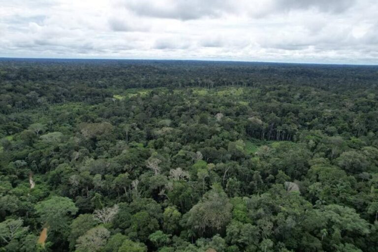 Pesquisador mostra que segurança na posse da terra reduz desmatamento no Acre​