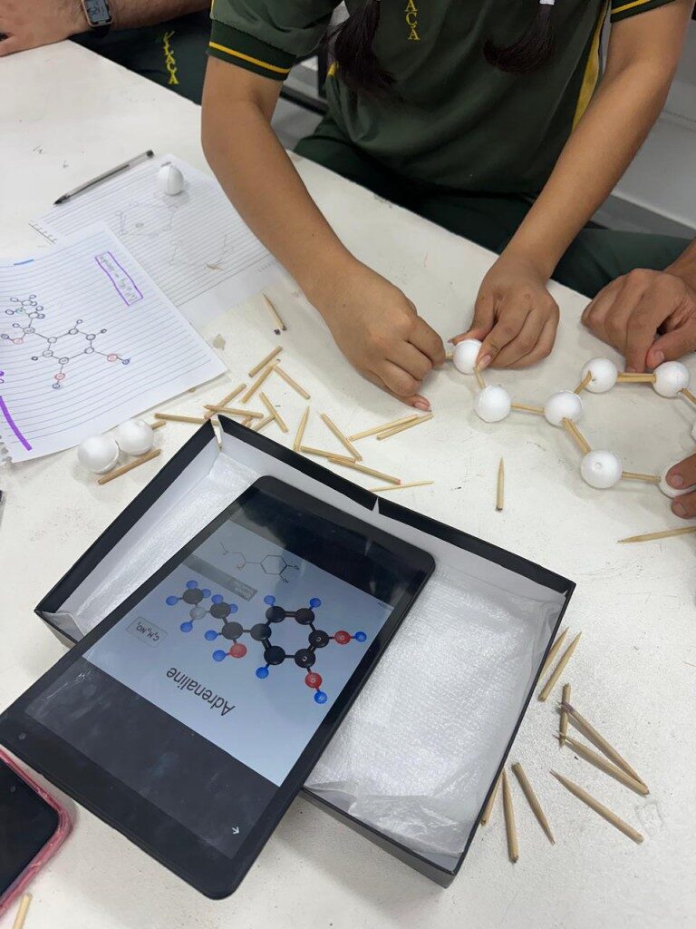 Projeto ensina estruturas hormonais femininas com bioinformática, modelagem e impressão 3D no Amazonas