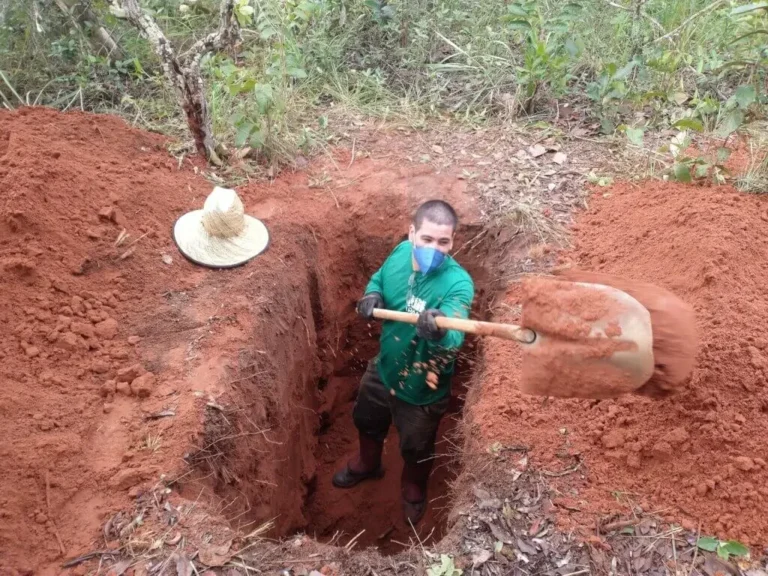 Mapeamento inédito do solo brasileiro permite aperfeiçoar planejamento estratégico