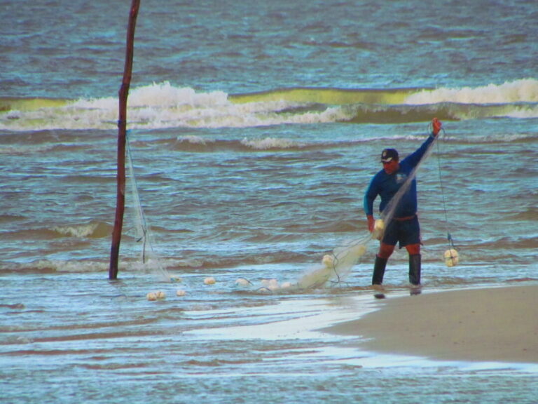 Selo da Pesca Artesanal nacional é lançado para fortalecer comercialização de produtos