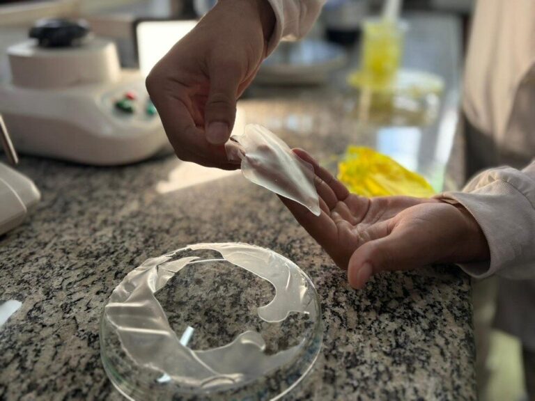 Pesquisadores do Amapá criam bioplásticos feitos de amido de milho e casca de laranja