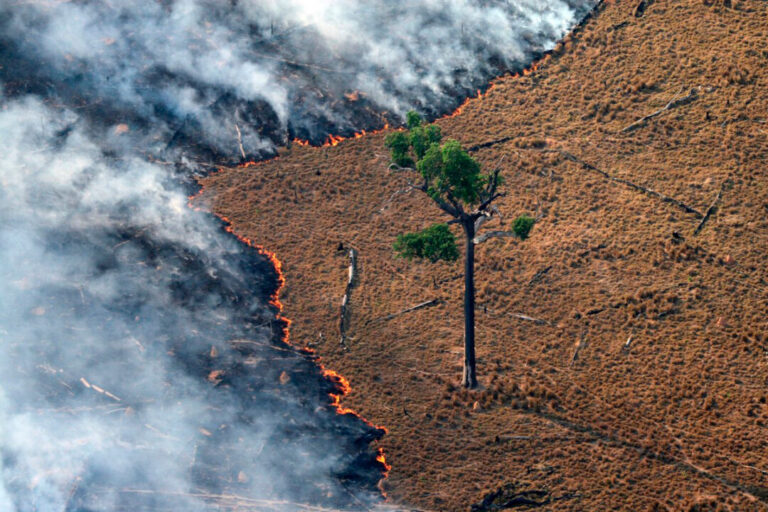 Queimadas em pastagens geram emissões invisíveis no inventário climático do Brasil