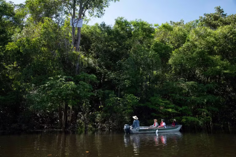 MPF aciona Justiça contra projeto de carbono em territórios tradicionais no Amazonas