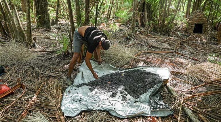 8,6 milhões de pessoas saíram da pobreza entre 2023 e 2024