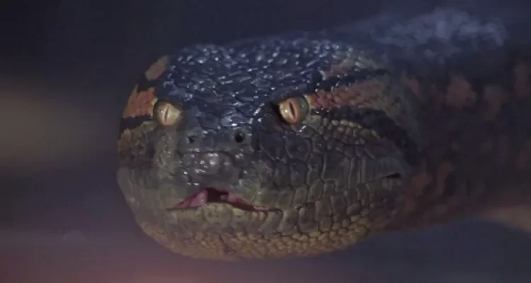 Anaconda: 12 mentiras sobre a Amazônia que parecem verdade no filme