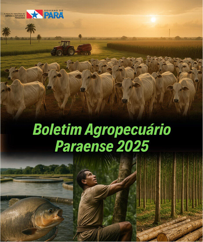 Boletim agropecuário