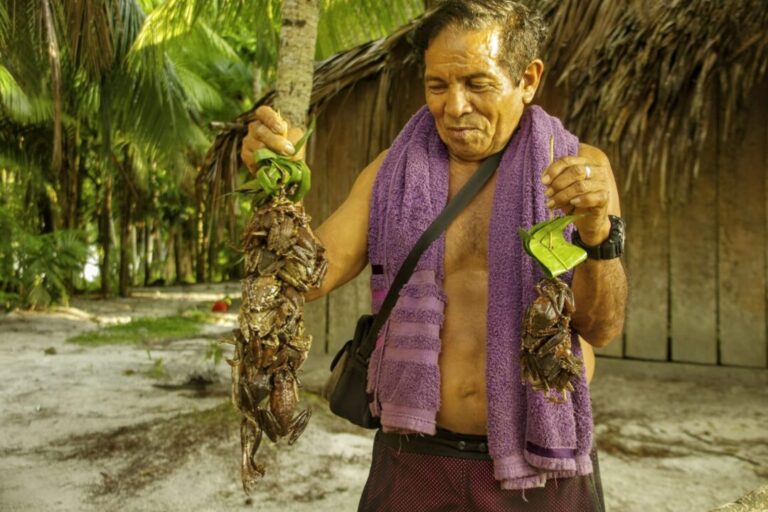 Biomas amazônicos: fornecedores de carnes de animais silvestres, ricas em valor nutricional, como fonte de alimentos dos povos da floresta